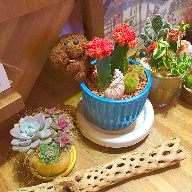 risaponさんの実例写真
