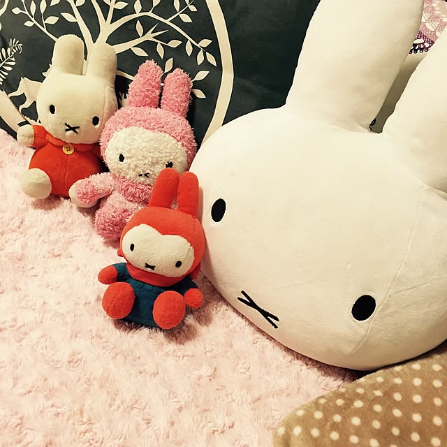 REIKAさんの実例写真