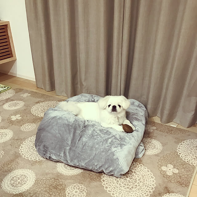 2500さんの実例写真