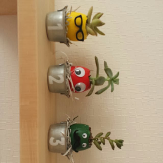 seiさんの実例写真