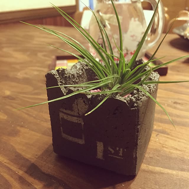 m217さんの実例写真