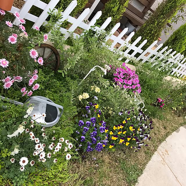 mini_archさんの実例写真