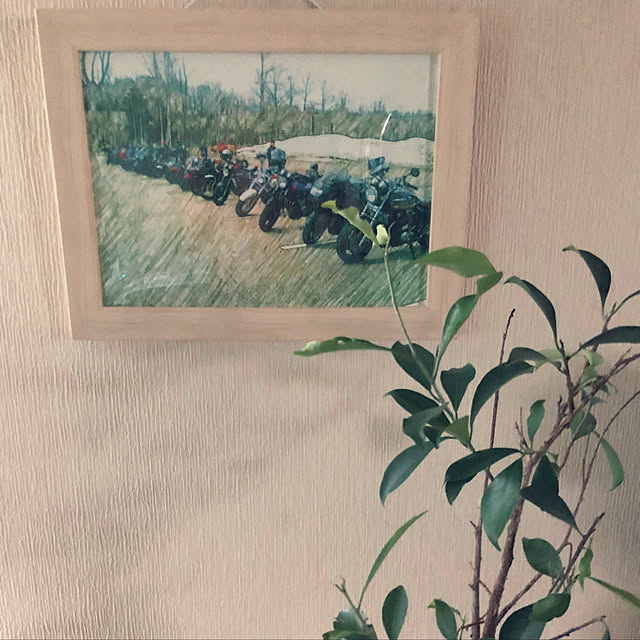 julyさんの実例写真