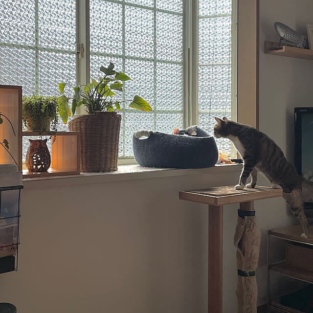 nobikoさんの部屋