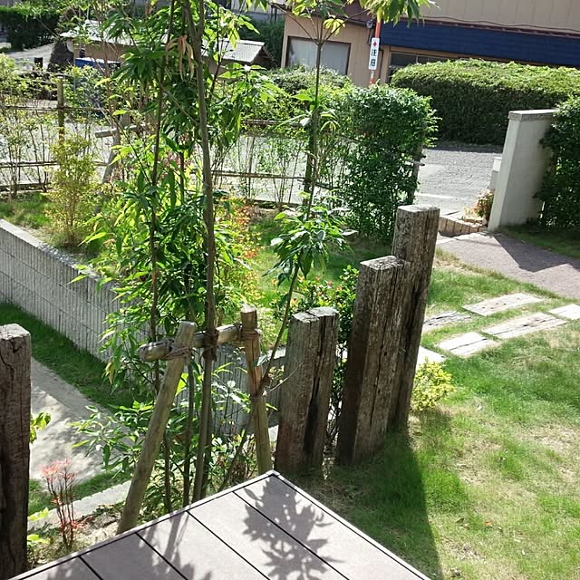 chigusahappyさんの実例写真