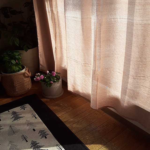 ririeeさんの実例写真