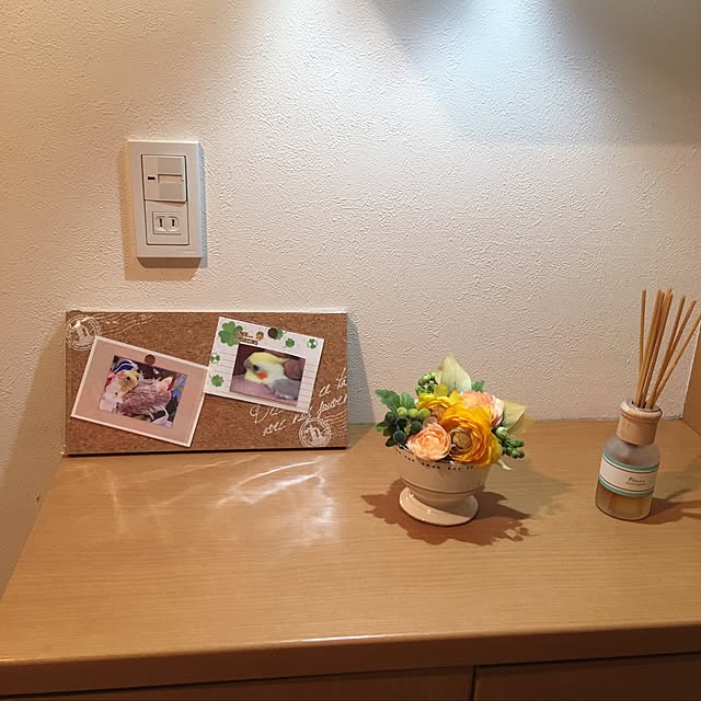 puriyuzuさんの実例写真