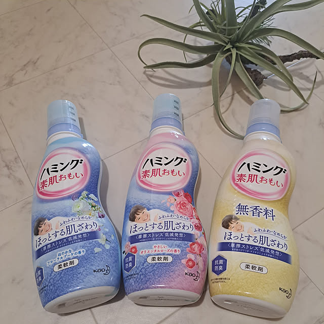 rinaさんの実例写真
