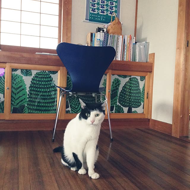 ramさんの実例写真