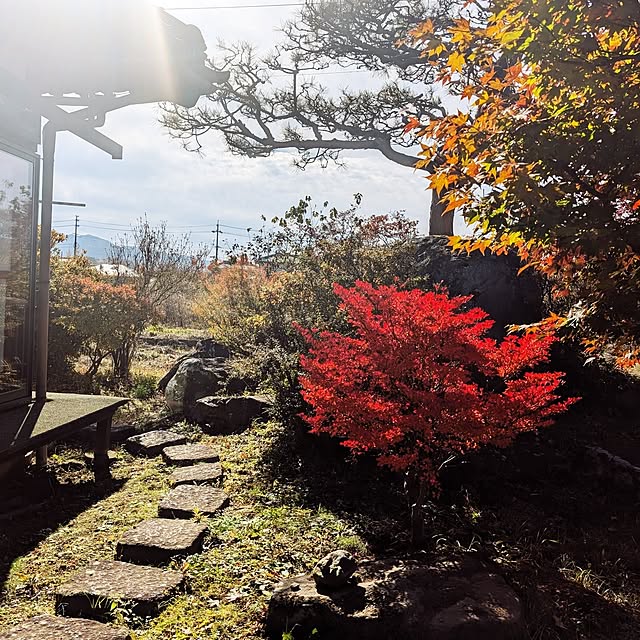 mill_0303さんの実例写真