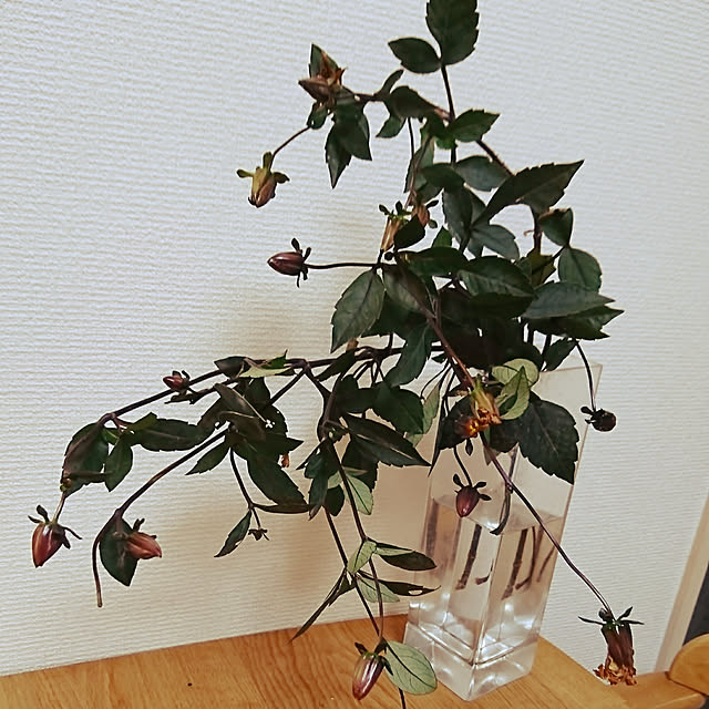 AZさんの実例写真