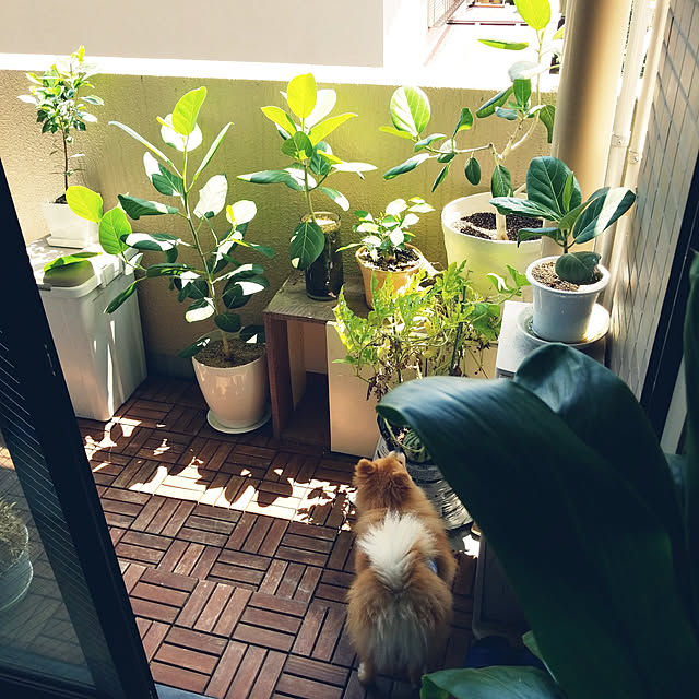 mayuko306さんの実例写真