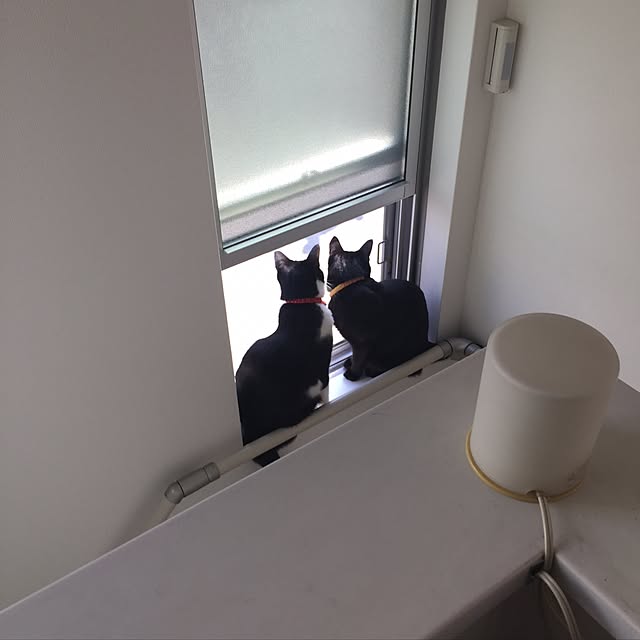 katsuzouさんの実例写真