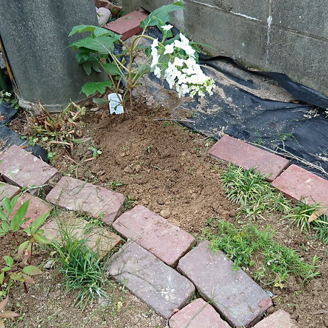 akesanさんの実例写真