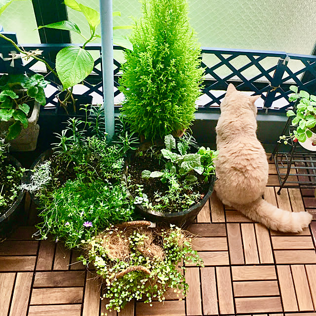 naokoさんの部屋