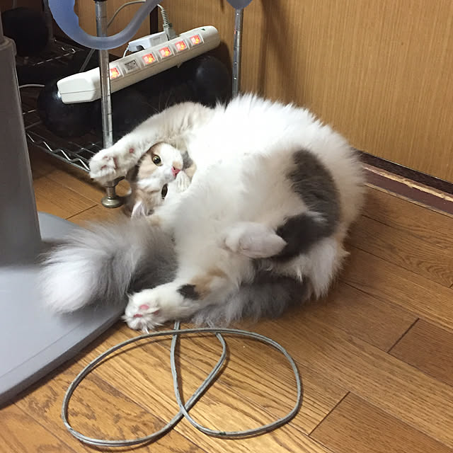 keibooさんの実例写真