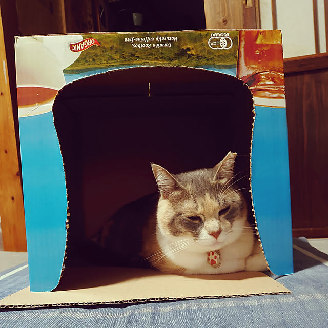 fukuさんの実例写真