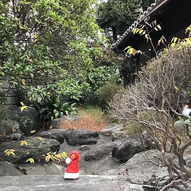 yymsさんの実例写真