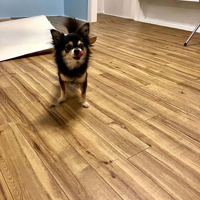 yokochinさんの実例写真
