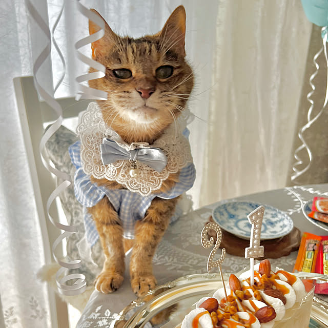 blue.with.whiteさんの部屋