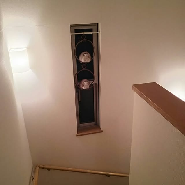 Yumikoさんの実例写真