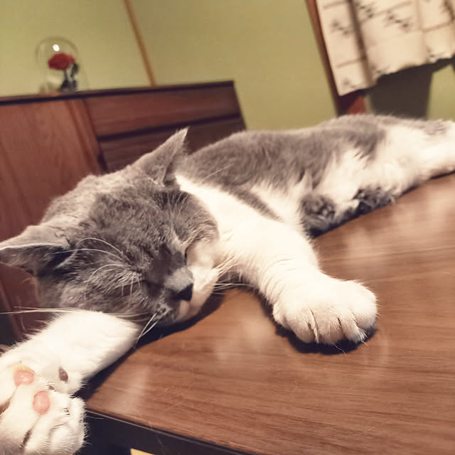 rhuさんの実例写真