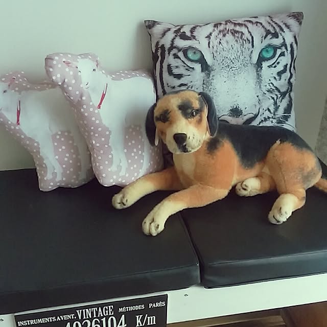 jankenkenさんの実例写真