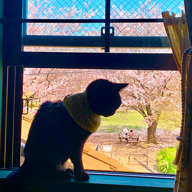 tabasaさんの実例写真