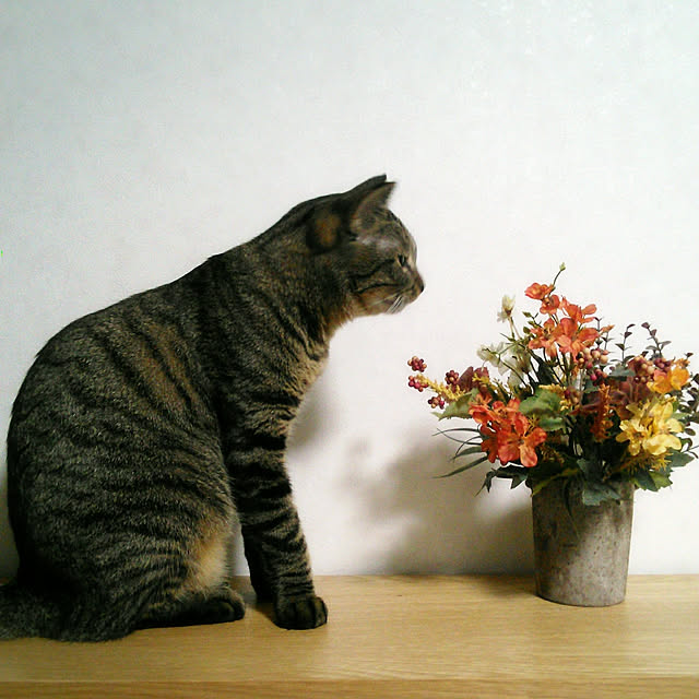 lovepandaさんの実例写真