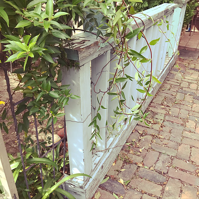jasminさんの実例写真