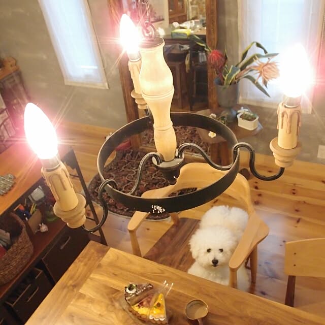 musaさんの実例写真