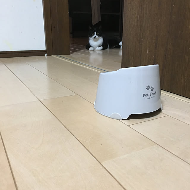 nekoさんの実例写真