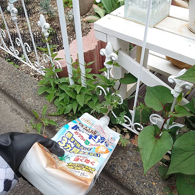 mri96さんの部屋