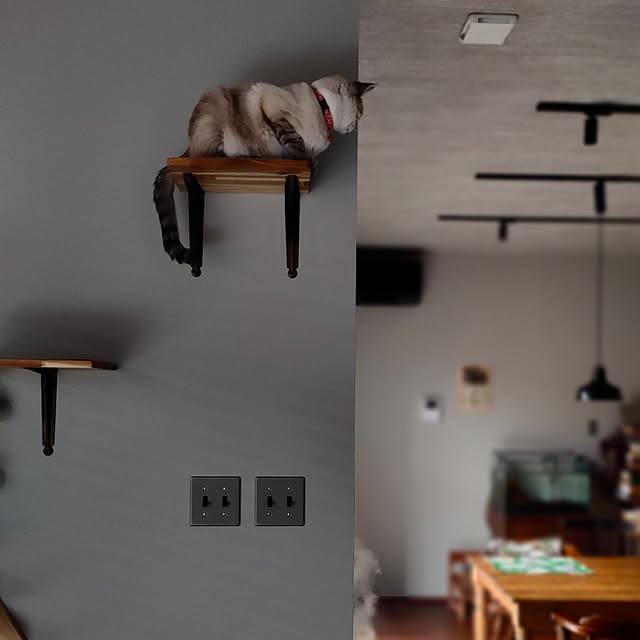 Atelier_tamakiさんの実例写真
