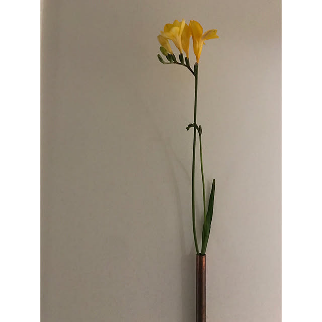 sot1127さんの実例写真