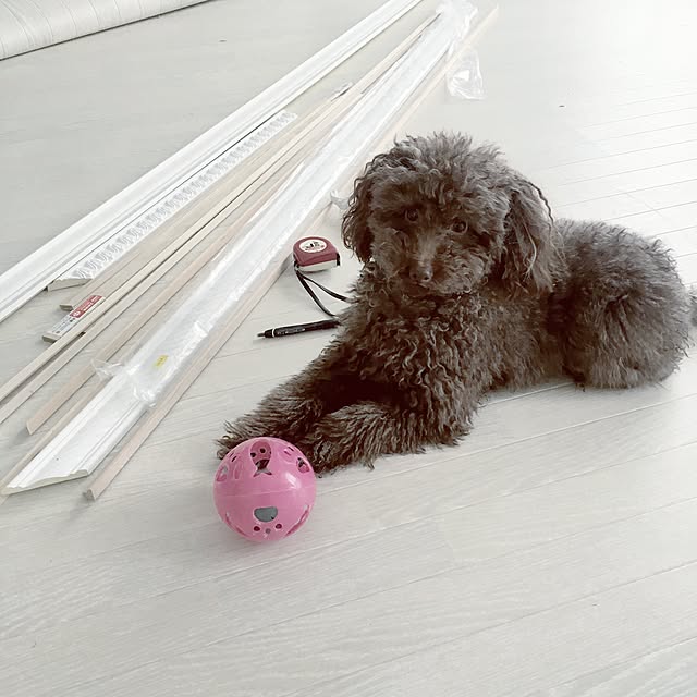 noelさんの実例写真