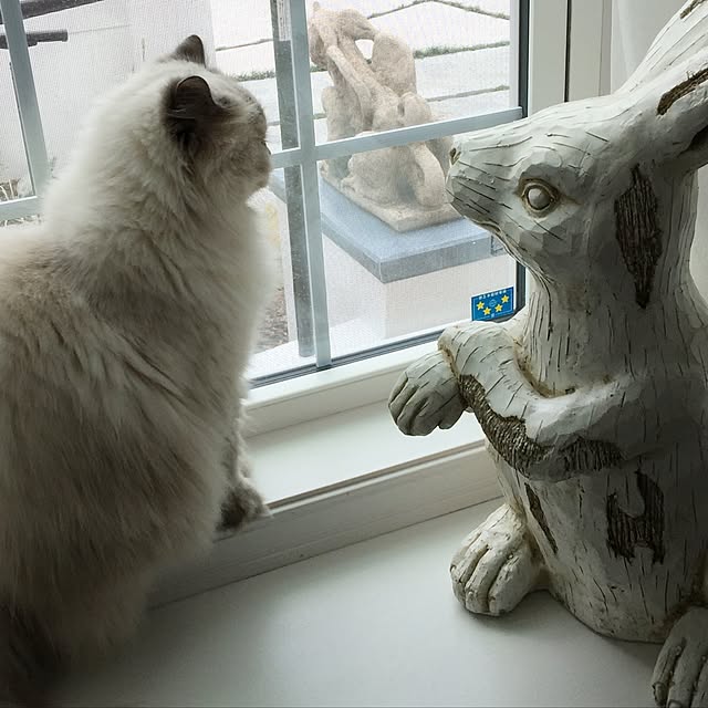 yuchiさんの実例写真