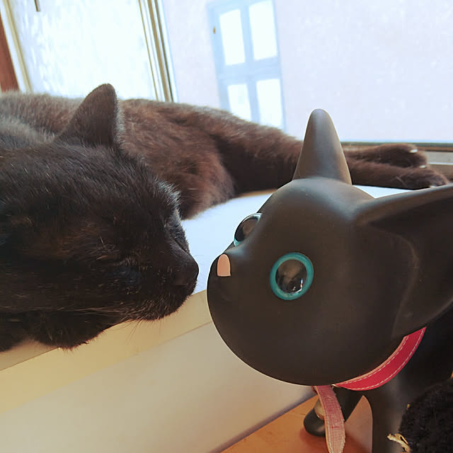 N-mkmtさんの実例写真
