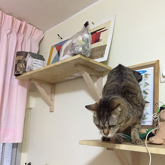 壁/天井/IKEAのインテリア実例 - 2019-02-20 01:15:29