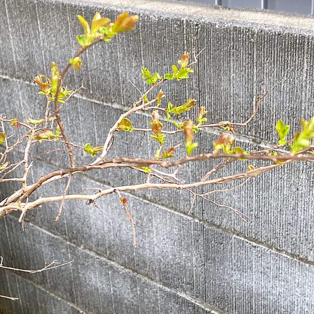 YuuKoさんの部屋