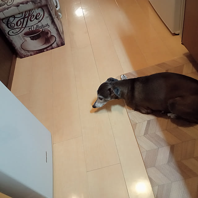 moruさんの実例写真