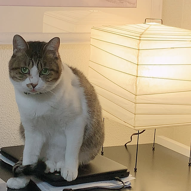 emiさんの実例写真