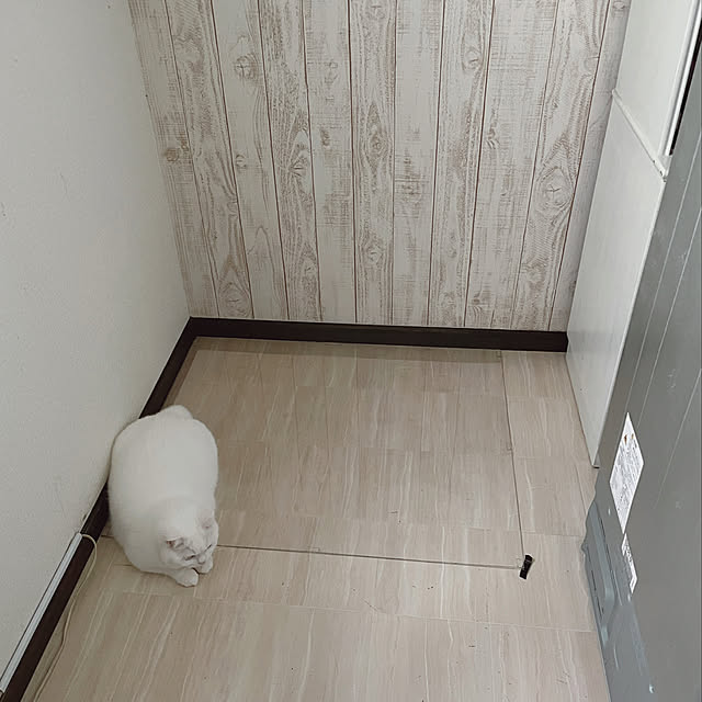 kotoriさんの実例写真