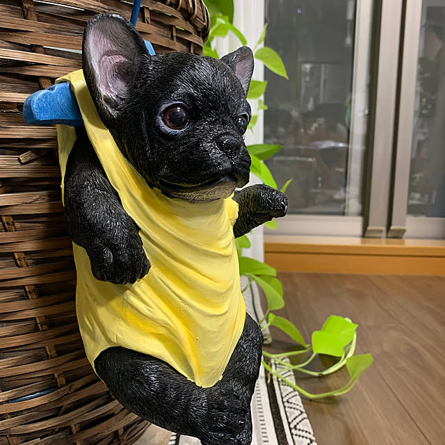 Aqettyさんの実例写真