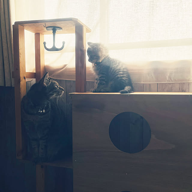 Mさんの実例写真