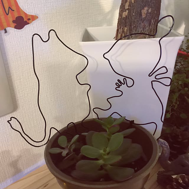 miruさんの実例写真