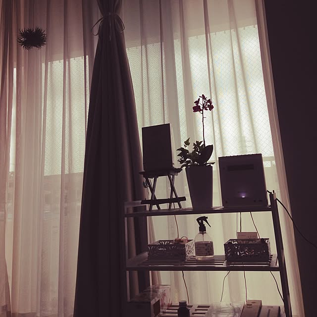 satomyさんの実例写真