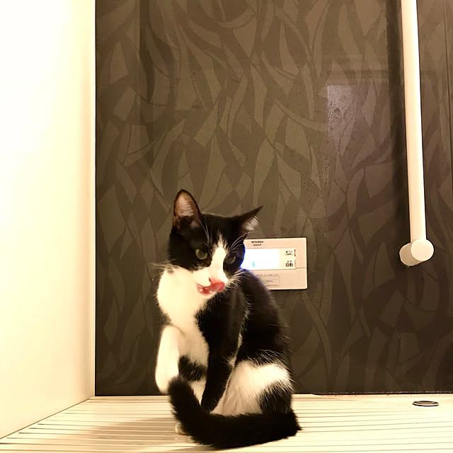 butachanさんの実例写真