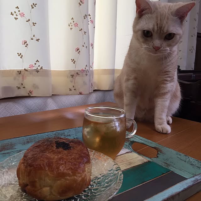 sirasu.nさんの実例写真