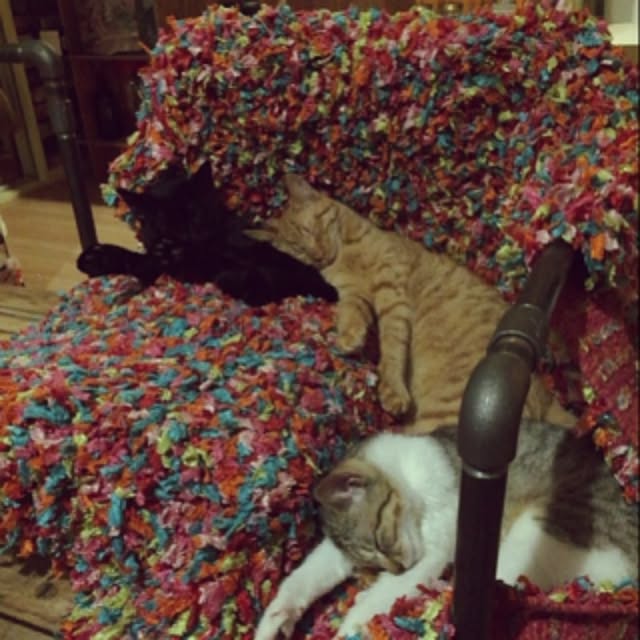 sumisumiさんの実例写真